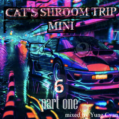 Cat's Shroom Trip Mini 6 -Pt 1- (December 2025 RIDDIM DUBSTEP mixtape)