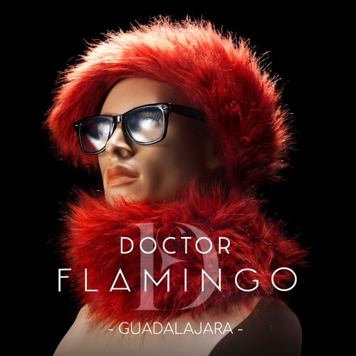DOCTOR FLAMINGO -  GUADALAJARA (MAD REMIX)