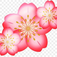 Rosalia- Flor de Sakura_ Neutro Gris Remix