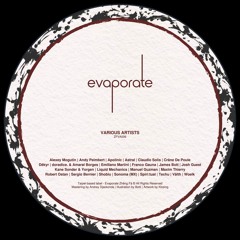 Premiere : Maxim Thierry - Santos (ZFVA006)