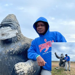 Digital Jungle Vol 1