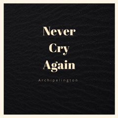 Never Cry Again (Radio Edit)