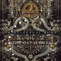 4. Intellectual Bums - The Light