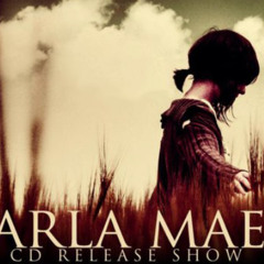 05 Just Like You Said Lizardman (2)