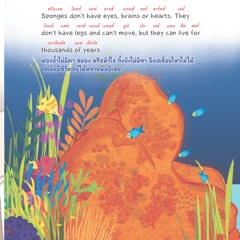 Early Readers - What Lives Under the Sea? - Page 25