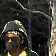 freestyle 3 [sjr forest]