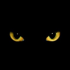 Vonte* - Right Now 3 (Prod. ChanBans x 10G.Eli x AltoSGP)