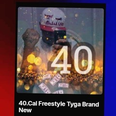 40 Cal on Tyga Brand New Beat.m4a