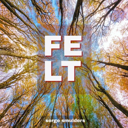 Felt