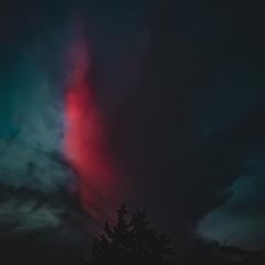 The Death Of Everything That's Beautiful