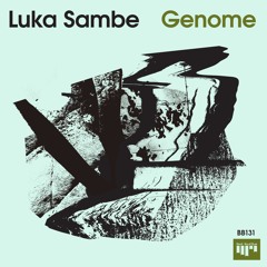 Luka Sambe - Optics