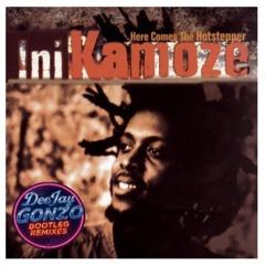 Ini Kamoze - Here Come The Hotstepper (DeeJay Gonzo Bootleg Remix)