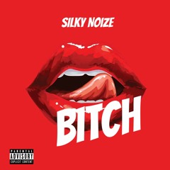 Silky Noize - Bitch