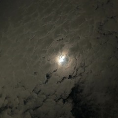 OTRA NOXE CHIKO ZAD - BURUS (PROD. DZNZX)