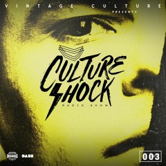 Vintage Culture - Culture Shock #003