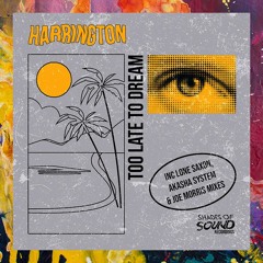 PREMIERE: Harrington — Too Late To Dream (Original Mix) [Shades Of Sound Recordings]