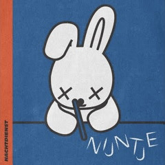Nijntje - Nachtdienst
