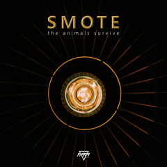 Smote - Other Side