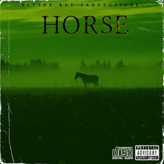 horse  [prod.   BeatsbyVishnu  ]