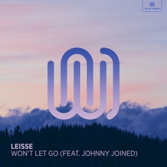 Won't Let Go (feat. johnny joined)