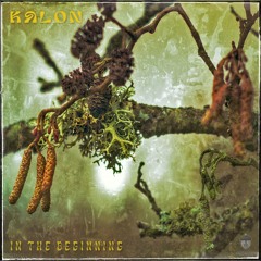 2. Kalon - Sensory Deception