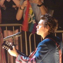 If I Could Fly - Harry Styles (cover)