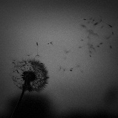 maybe I (prod. pyctur)