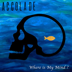 Where Is My Mind
