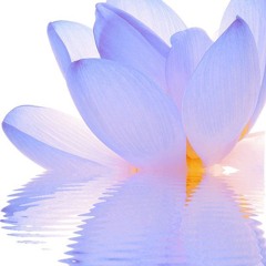 𝐁𝐋𝐈𝐒𝐒 (𝐀𝐌𝐁𝐈𝐄𝐍𝐓 𝐕𝐄𝐑𝐒𝐈𝐎𝐍)