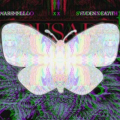 assnectar & Peekaboo  Disrupt The System (ft. Azeem)X Marshmello & SVDDEN DEATH - Crusade