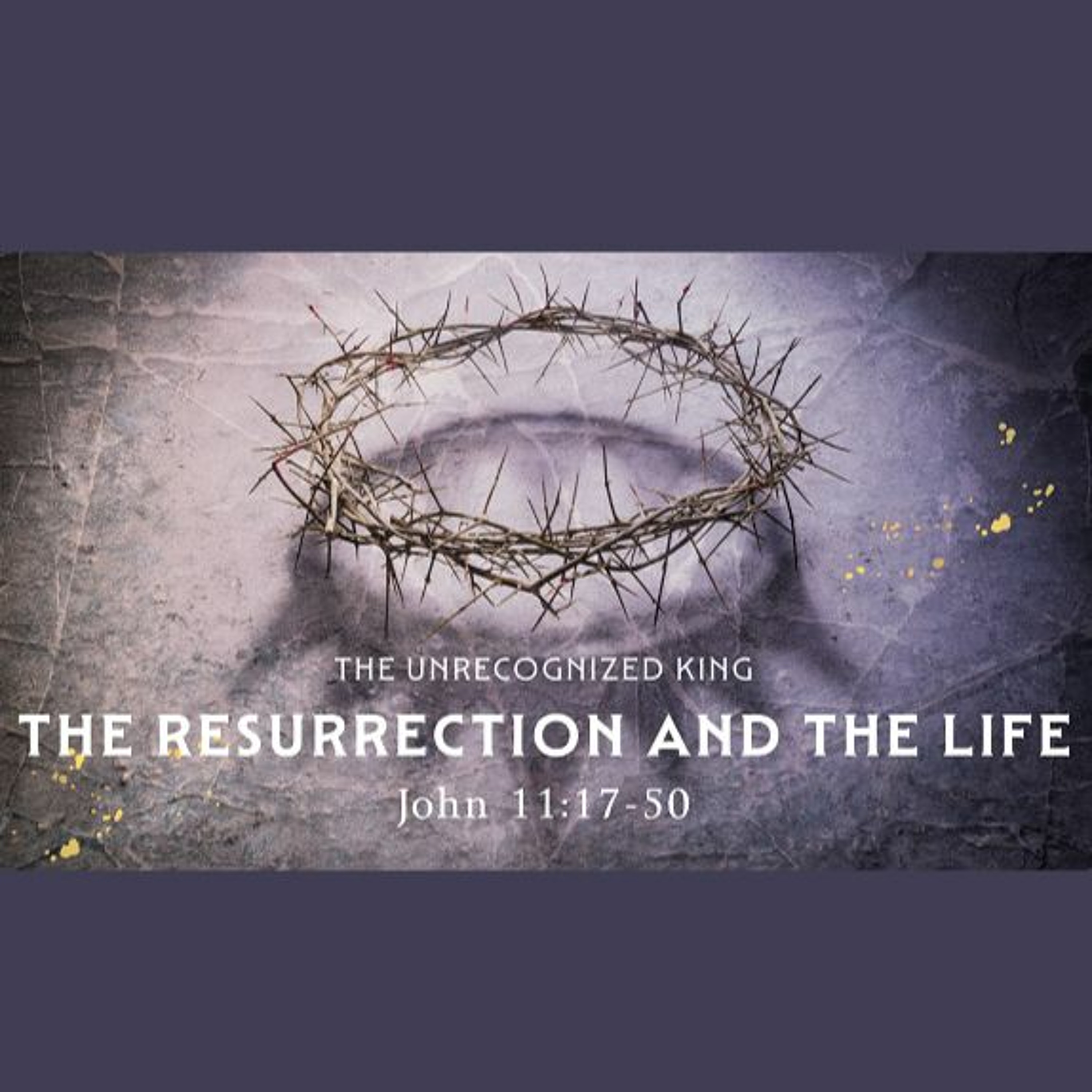 The Resurrection and the Life, John 11:17-50 (Sermon) episode artwork