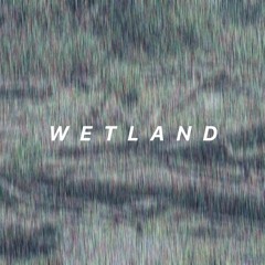 Wetland (Ö1 Kunstradio audioplay by Adina Camhy & Katrin Euller)