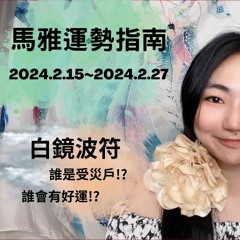 馬雅運勢播報--🧑‍🤝‍🧑白鏡波符13天訊息🧑‍🤝‍🧑 2024.2.15-2024.2.27 誰有好運氣!? 誰是受災戶!? #馬雅 #運勢 #命理