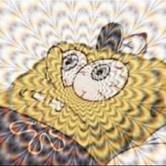i can feel my gyri decreasing exponentially