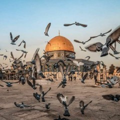 سورة التوبة - الشيخ مشاري راشد العفاسي