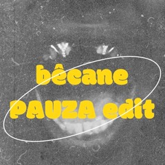 PAUZA - Bêcane (Edit)