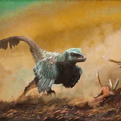 Chasing Prey (SPBB313)
