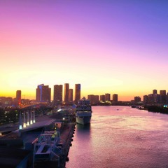 Escape From Miami