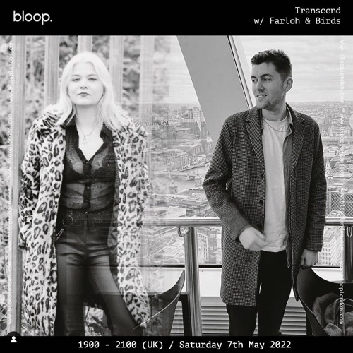 Bloop London - Shows