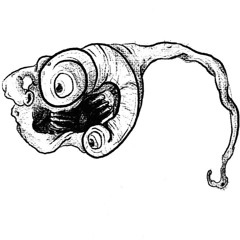 Triflobial Glopex