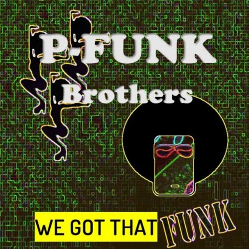 P - Funk Brothers - We Got That Funk