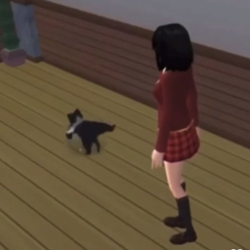 <33
