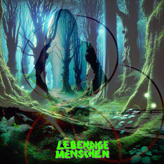 Licht und Schatten 2025