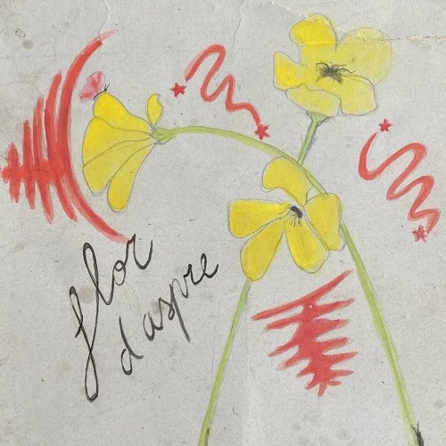 Flor d’aspre