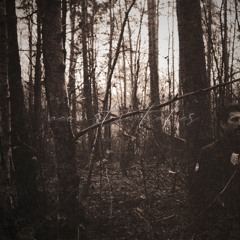 Stellar Sky (Acoustic Version)