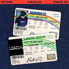 Riton Kah-Lo Fake ID (Lorcan Weldon Organ Refix)