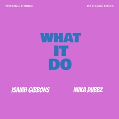 What It Do (Feat. Niika Dubbz) [CLEAN]