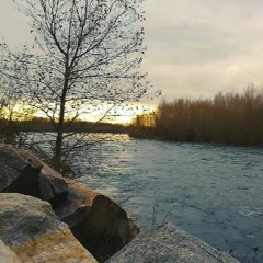 Too Much Freestyle (PROD. MANUEL)