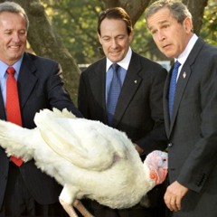 George's Bush