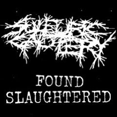 Sulfuric Cautery - FOUND SLAUGHTERED